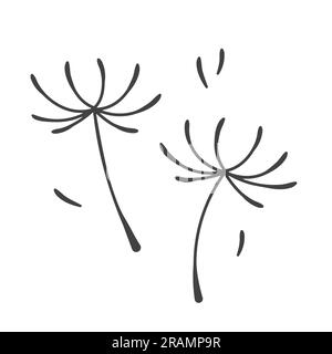 black dandelion seeds- vector illustration Stock Vector