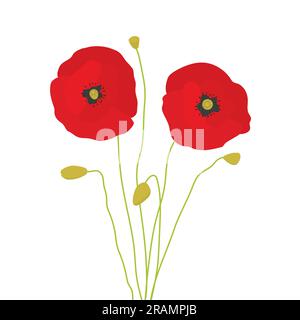 red poppy flowers - vector illustration Stock Vector