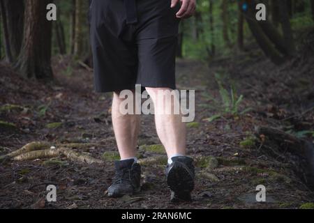 Hiker on a trail passing by obstacles in the woods focus on legs and hiking shoes, inside the forest trail, copy space banner backgrounds theme. Stock Photo