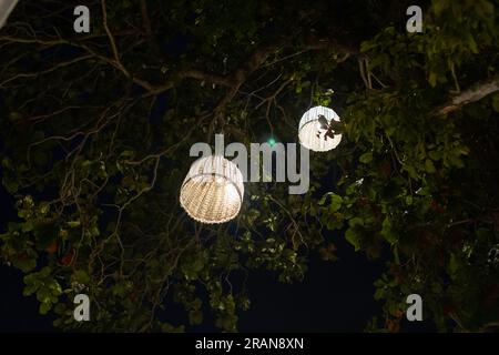 Yellow light lantern hanging on the tree at night. Stock Photo