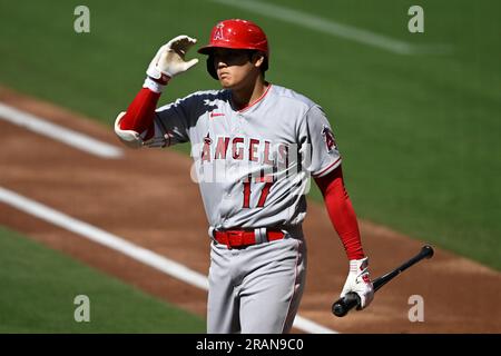 7/4/2023 LAA at SD Game-Used Baseball: 4th of July - Shohei Ohtani Strikes  Out