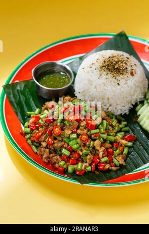 Pad Gaprao (Pad Kra Pao) Holy Basil Chicken Stir Fry. Phat kaphrao consists of meat such as pork, chicken, beef, and seafood stir fried with Thai holy Stock Photo