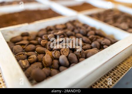 coffee beans macro close-up. Various types of coffee. Selective focus. Stock Photo