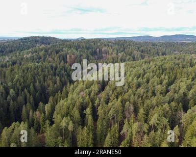 aerial photo of the forest in bavaria with dense needle trees and clearings as a green meadow Stock Photo