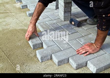 A worker lays concrete paving blocks to build a terrace using a hammer and spirit level. Stock Photo