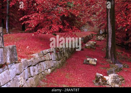 murus dacicus at Sarmizegetusa in the beautiful colours of autumn Stock Photo