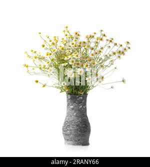 A beautiful large bouquet of field daisies in a gray handmade clay vase on a white background. Bouquet of wild flowers on white isolated. Stock Photo