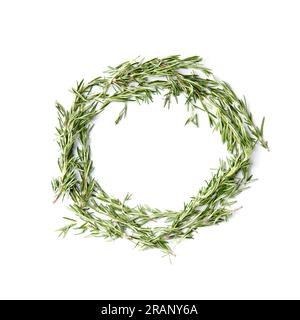 Branches of fresh green rosemary are laid out in a circle shape on a white background, top view, space for text. Fragrant herbs and spice Stock Photo