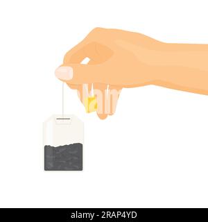 woman hand holging tea bag - vector illustration Stock Vector