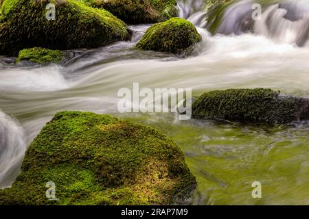 waterfall in the green forest Stock Photo