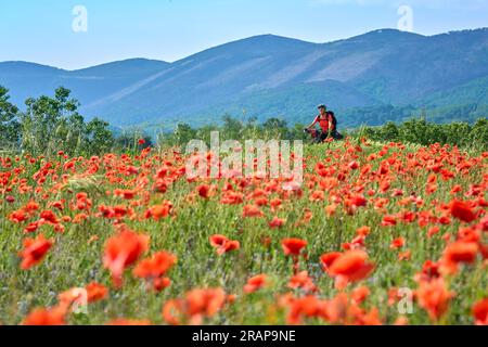 nice senior woman on a bike tour with her electric mountain bike in the Karst Mountains of Slovenia near Solkan Stock Photo