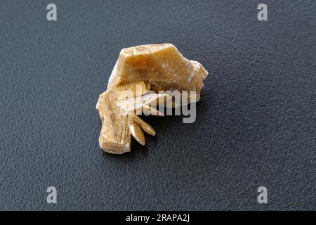 Desert rose. Rock composed of gypsum close up, crystals that resemble the shape of a rose. Stock Photo