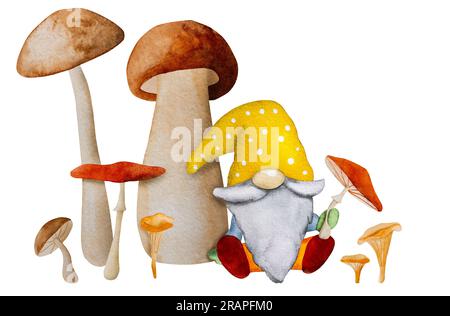 Cute gnome dwarf with mushrooms harvest at autumn season watercolor illustration. Aquarelle cartoon elf with beard drawing Stock Photo