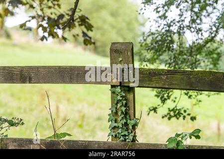 old wooden fence in Devon countryside Stock Photo