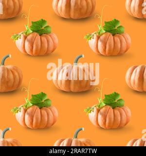Seamless pattern of big pumpkins on orange background. Autumn harvest concept. Stock Photo