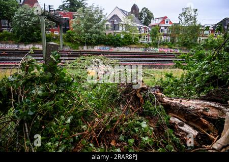 GRONINGEN - Damage to the track and a broken overhead line due to a fallen tree due to storm Poly. The NS and ProRail take into account that the train tracks in the Netherlands have been severely damaged by storm Poly and that it will take a lot of time to repair damaged tracks and overhead lines. ANP DENNIS VENEMA netherlands out - belgium out Stock Photo