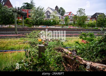 GRONINGEN - Damage to the track and a broken overhead line due to a fallen tree due to storm Poly. The NS and ProRail take into account that the train tracks in the Netherlands have been severely damaged by storm Poly and that it will take a lot of time to repair damaged tracks and overhead lines. ANP DENNIS VENEMA netherlands out - belgium out Stock Photo