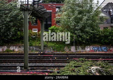 GRONINGEN - Damage to the track and a broken overhead line due to a fallen tree due to storm Poly. The NS and ProRail take into account that the train tracks in the Netherlands have been severely damaged by storm Poly and that it will take a lot of time to repair damaged tracks and overhead lines. ANP DENNIS VENEMA netherlands out - belgium out Stock Photo