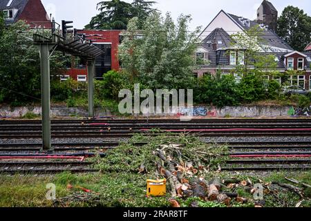 GRONINGEN - Damage to the track and a broken overhead line due to a fallen tree due to storm Poly. The NS and ProRail take into account that the train tracks in the Netherlands have been severely damaged by storm Poly and that it will take a lot of time to repair damaged tracks and overhead lines. ANP DENNIS VENEMA netherlands out - belgium out Stock Photo