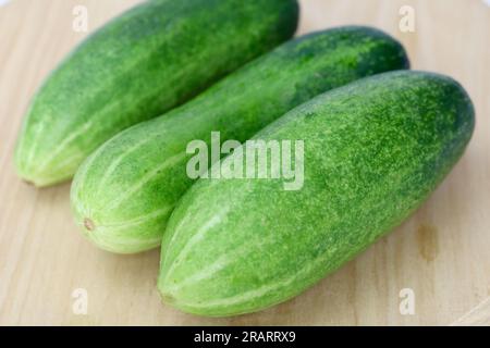 Fresh green and healthy cucumbers on wooden board Stock Photo