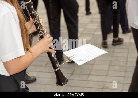 music band with person in the foreground playing the flute Stock Photo