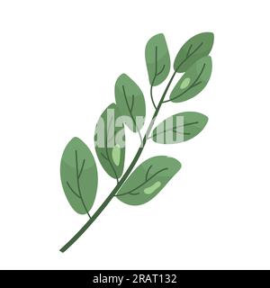 branch with green leaves- vector illustration Stock Vector