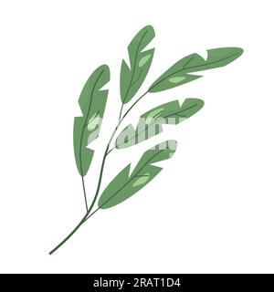 branch with green leaves- vector illustration Stock Vector