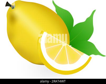 Realistic lemon, whole and sliced ​​with green leaf, sour fresh fruit, bright yellow peel, set of vector illustrations of lemons isolated Stock Vector