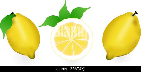Realistic lemon, whole and sliced ​​with green leaf, sour fresh fruit, bright yellow peel, set of vector illustrations of lemons isolated Stock Vector
