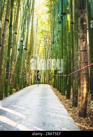 Female woman walks down the path in dendrological park in Georgia with bamboo trees around protected by no crossing striped red white tape. Stock Photo