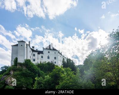 Leiben: Schloss Leiben Castle in Donau, Niederösterreich, Lower Austria, Austria Stock Photo