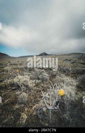 desertic and volcanic landscape in El Sabinal. El Hierro island. Canary islands. Spain Stock Photo