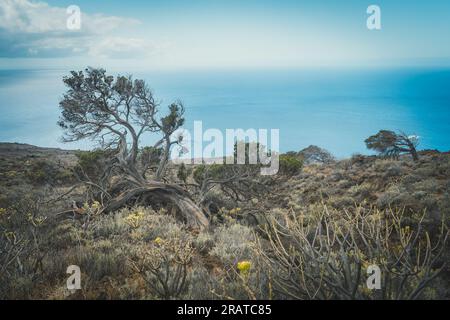 desertic and volcanic landscape in El Sabinal. El Hierro island. Canary islands. Spain Stock Photo