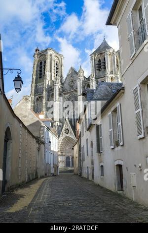 Bourges, medieval city in France, old houses in the historic center, with the cathedral in background Stock Photo