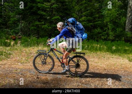 WA24533-00....WASHINGTON - Vicky Spring cycling with backpack on the closed Elwha River Road to the Whisky Bend Trail Head in Olympic National Park. Stock Photo