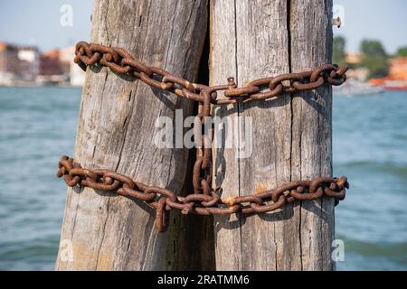 Vertical thick wooden posts called bricole (Venice bricola) on the Grand Canal in Venice. Close up detail. Stock Photo