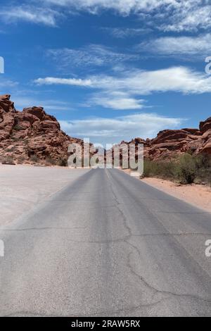White Domes Road cutting through rock formations of red Aztec sandstone ...