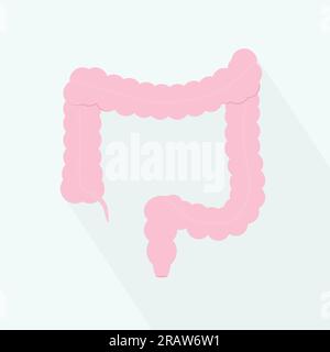 large bowel icon- vector illustration Stock Vector
