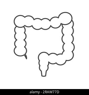large bowel outline icon- vector illustration Stock Vector