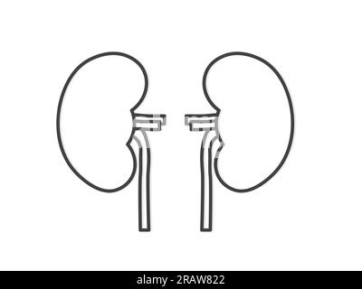 black outline of kidney icon- vector illustration Stock Vector