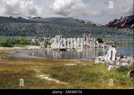 Tufas and receding water with Sierra Nevada mountains in background at Mono Lake, California, USA Stock Photo