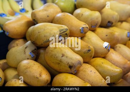 Bunch of Mangos Stacked at a super market Stock Photo