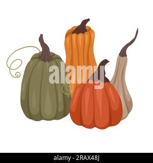 Vector flat hand drawn clipart pumpkins isolated from background. Gardening picture with pile of gourds. Cozy autumn illustration of vegetables Stock Vector