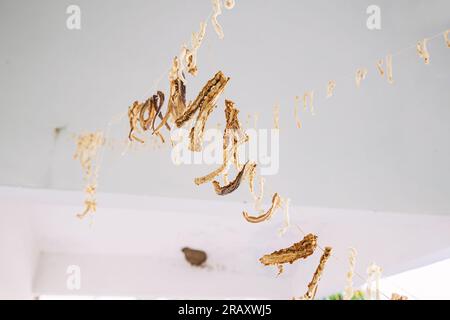 Dried food, vegetables or fish and seafood on a thread Stock Photo
