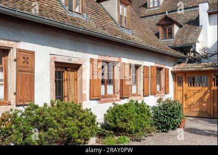Typical backyard in old town, Speyer, Palatinate, Rhineland-Palatinate, Germany, Europe Stock Photo