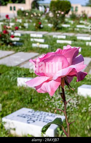 Afyon, Dumlupınar, Türkiye 30 Haziran 2023;Victory Monuments and cemetery in Dumlupinar.The Battle of Dumlupinar was the last battle in the Greco-Turk Stock Photo