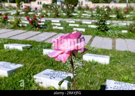 Afyon, Dumlupınar, Türkiye 30 Haziran 2023;Victory Monuments and cemetery in Dumlupinar.The Battle of Dumlupinar was the last battle in the Greco-Turk Stock Photo