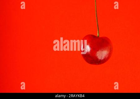 sweet cherry fruit isolated on orange background Stock Photo