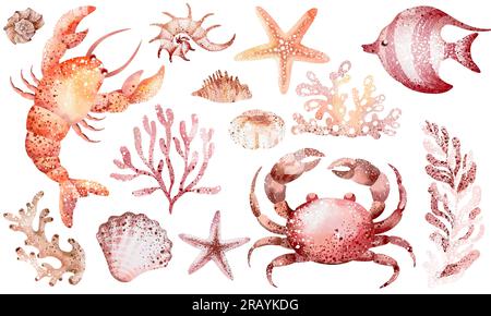 Set of underwater marine animals octopuses, seahorses, crabs, starfish, jellyfish. Marine inhabitants of the underwater world. animal elements isolate Stock Photo