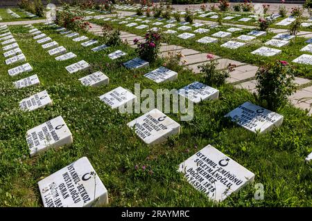 Afyon, Dumlupınar, Türkiye 30 Haziran 2023;Victory Monuments and cemetery in Dumlupinar.The Battle of Dumlupinar was the last battle in the Greco-Turk Stock Photo